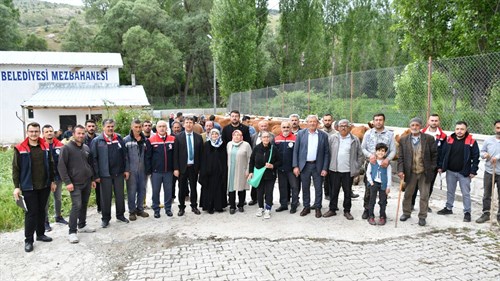 İlçemizde Süt Sığırcılığını Geliştirme Projesi Kapsamında Düve Dağıtımı Yapıldı